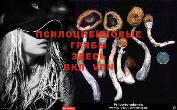 кокаин премиум Карпинск