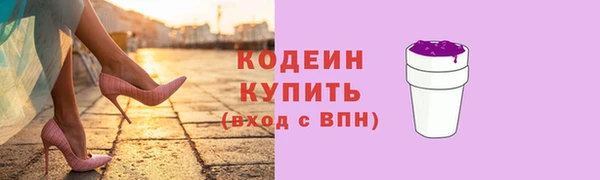apvp Каменка