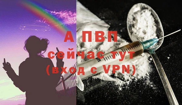 дурь Касимов