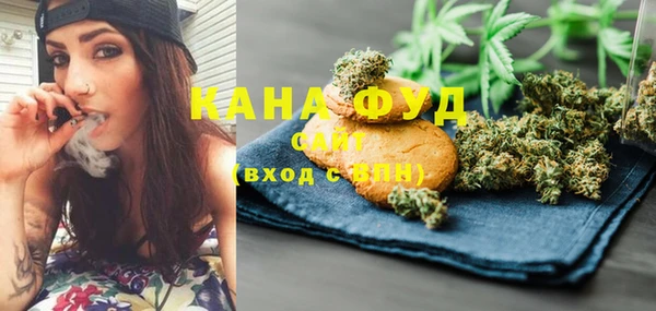 apvp Каменка