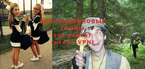 apvp Каменка