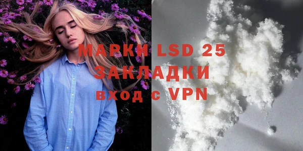 apvp Каменка