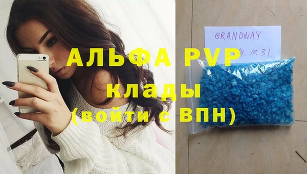 apvp Каменка