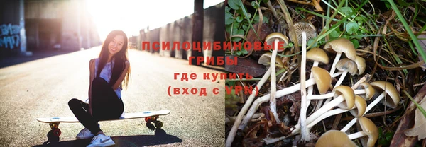 apvp Каменка