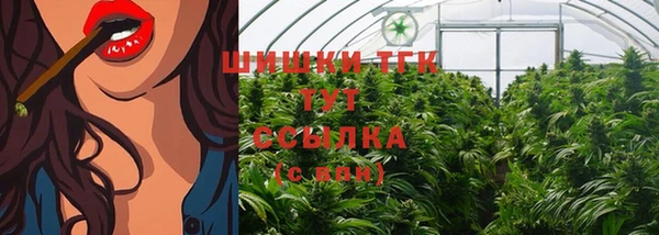 apvp Каменка