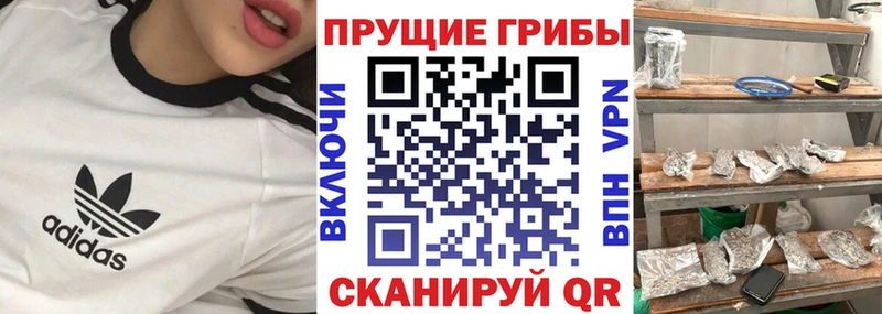 Галлюциногенные грибы MAGIC MUSHROOMS  Купить закладки  Орлов 